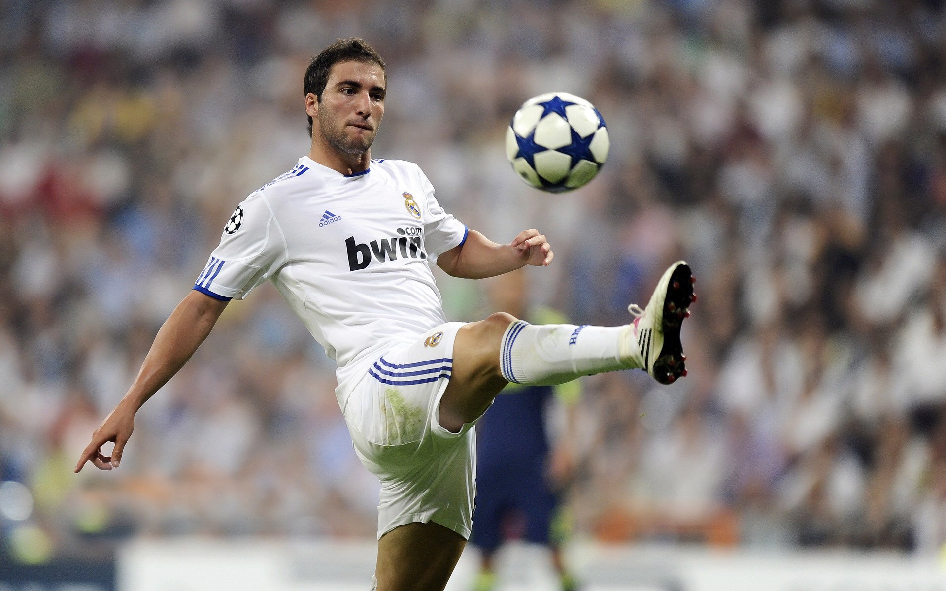 伊朗国家队备战世界杯，伊朗足球世界杯预选赛